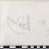 PPM 37996_1