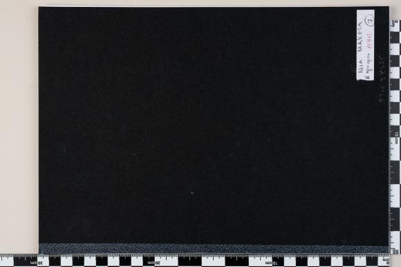 PPM 38635_1