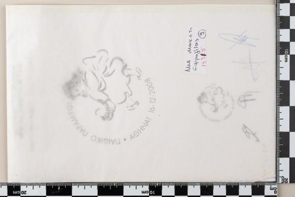 PPM 38385_1