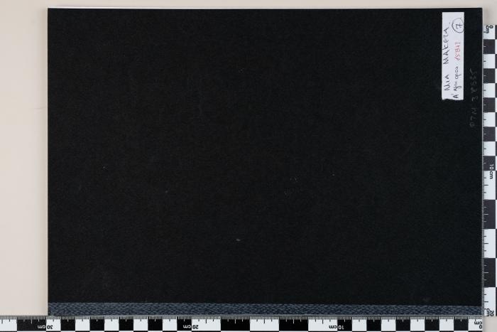 PPM 38635_1