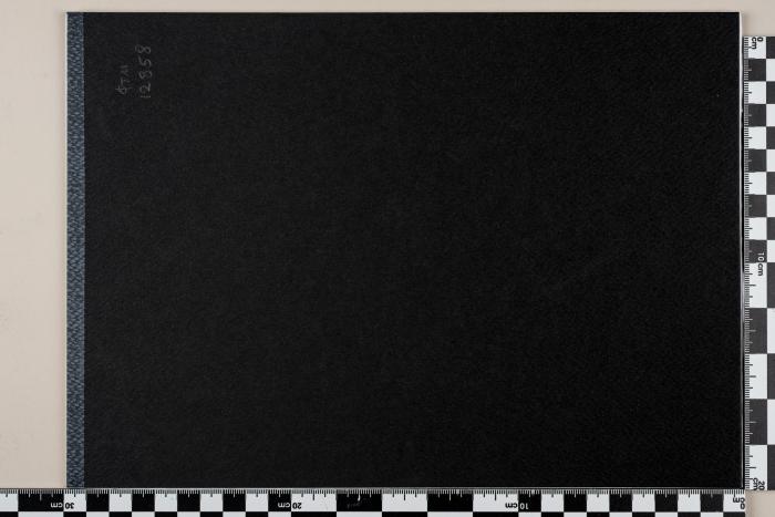 PPM 12858_1
