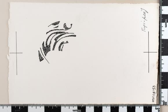 PPM 48153