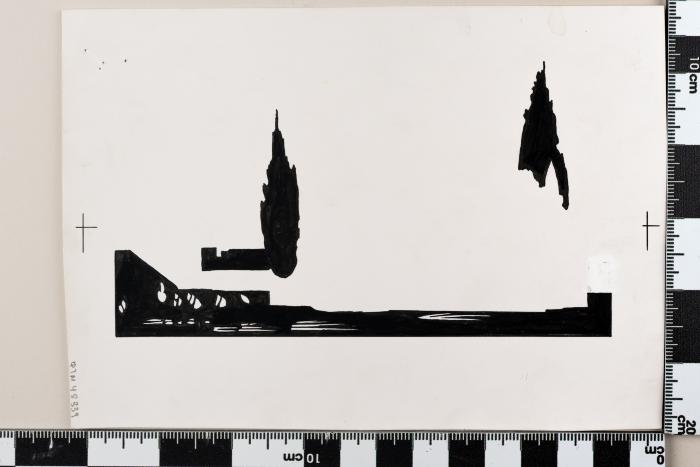 PPM 48339