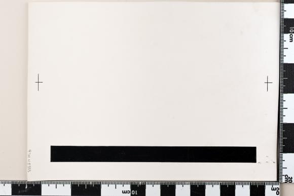 PPM 48333