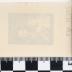 PPM 51395_1