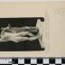 PPM 66817_1