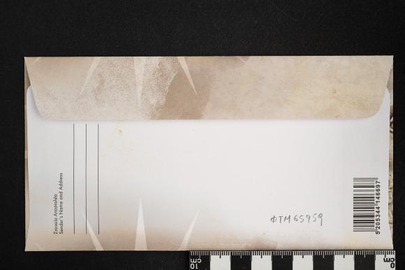 PPM 65959_2