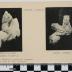 PPM 66815_1