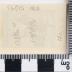 PPM 51293_1