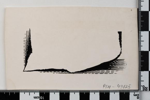 PPM 49725