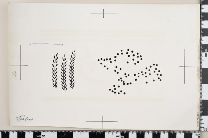 PPM 47864