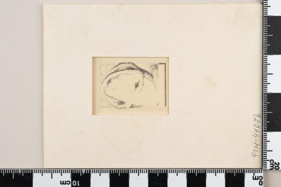 PPM 47078_1