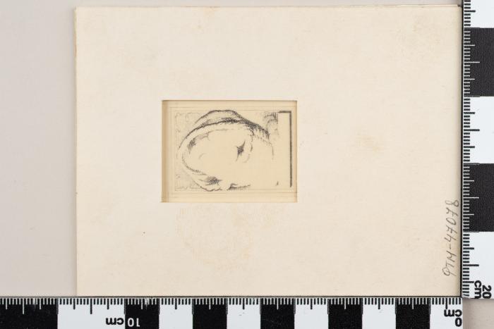 PPM 47078_1