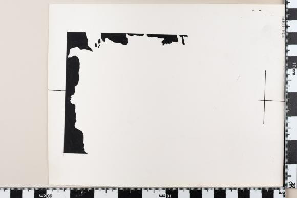 PPM 48474