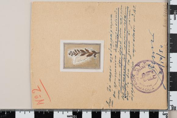 PPM 47069