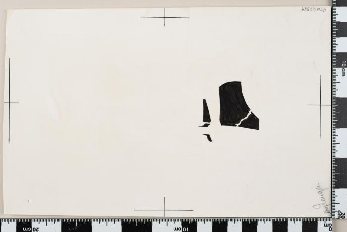 PPM 47869