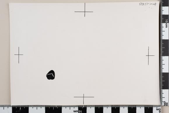 PPM 47823
