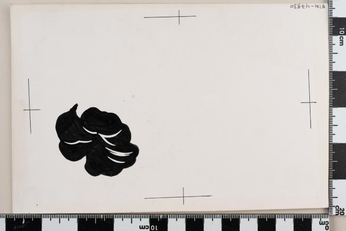 PPM 47830