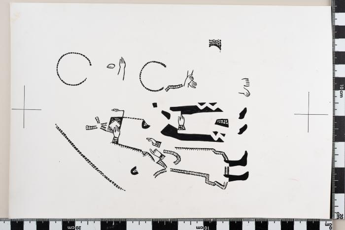 PPM 49962_1