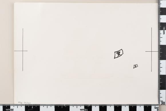 PPM 49253
