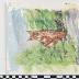 PPM 23065_2;PPM 23065_1