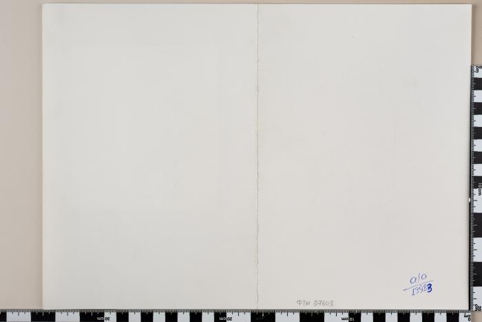 PPM 27603_1