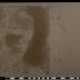 PPM 39541_1