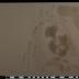 PPM 39543_1