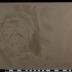 PPM 39546_1