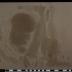 PPM 39548_1