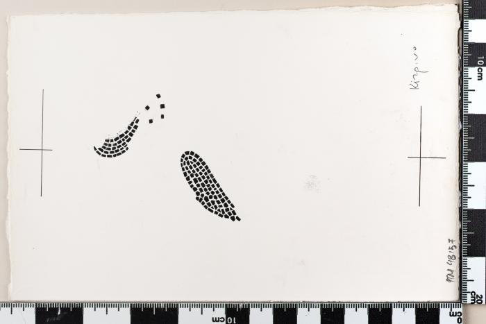 PPM 48157