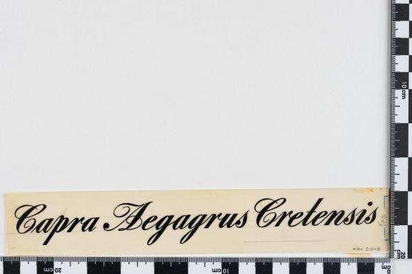 PPM 51045_1