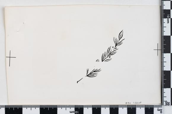 PPM 48407