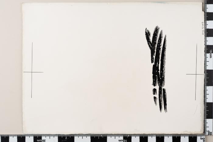 PPM 51007