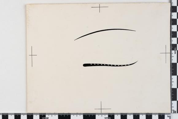 PPM 46983_1