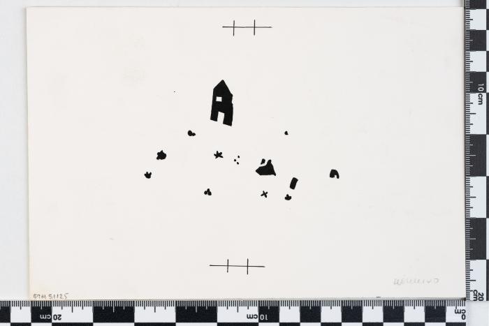 PPM 51125