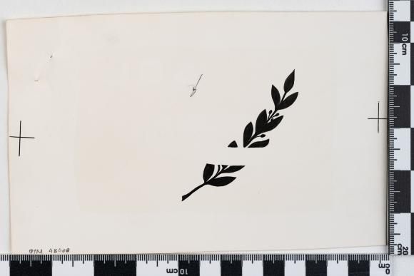 PPM 48408