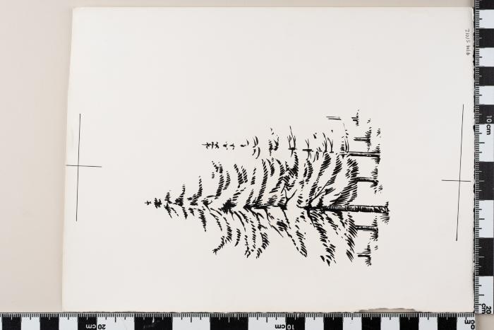 PPM 51012