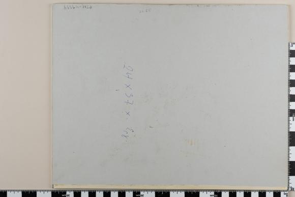 PPM 49334_2