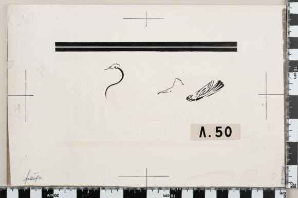 PPM 47866