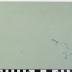 PPM 48546_1