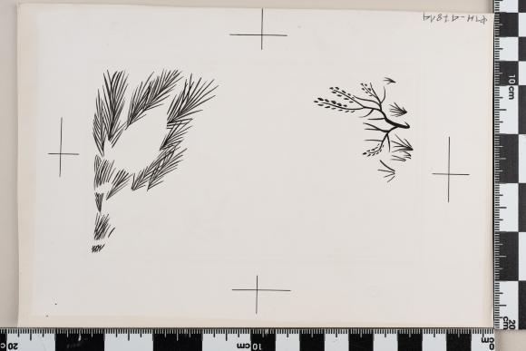 PPM 47814