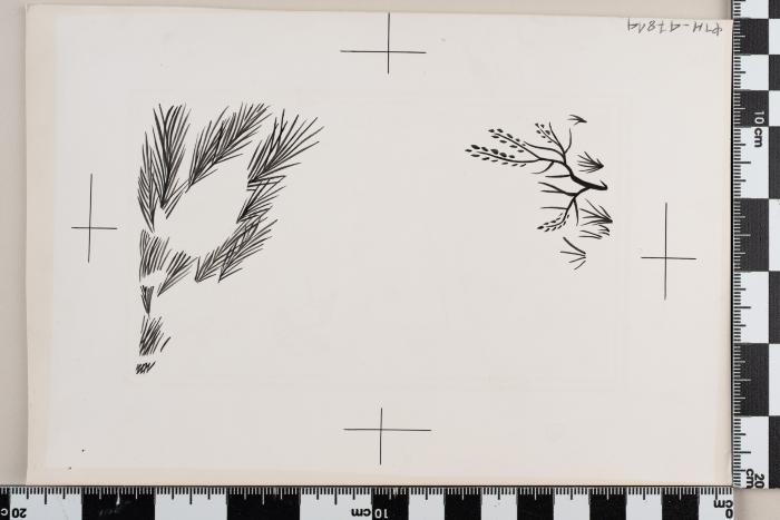 PPM 47814