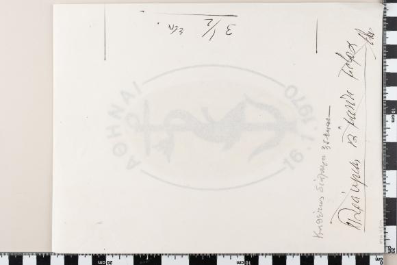 PPM 48139_1