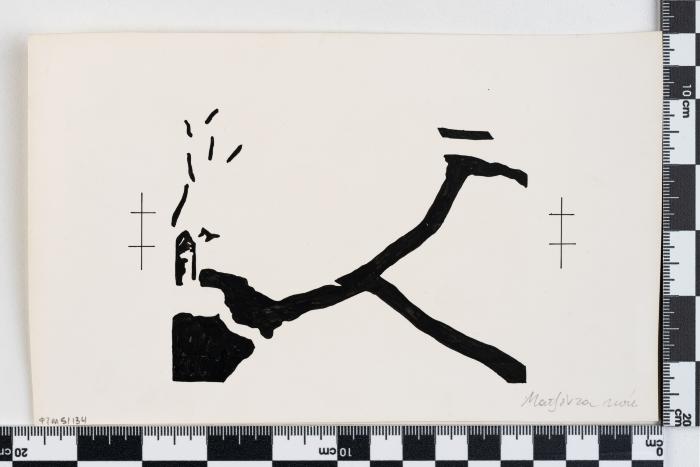 PPM 51134
