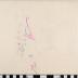 PPM 47965_1