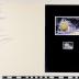PPM 17256_1