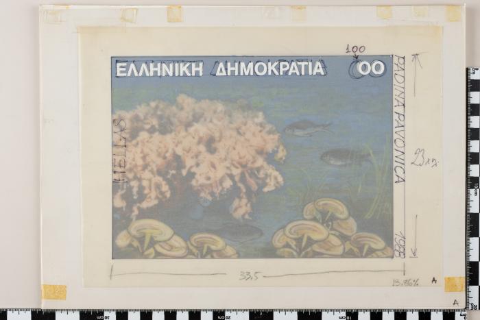 PPM 19145_1