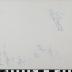 PPM 19584_1;PPM 19584_2
