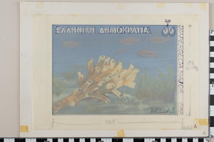 PPM 19142_1